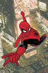 AMAZING SPIDER-MAN TORN (2025) #1 100 COPY INCV ADAM HUGHES VIRGIN VAR