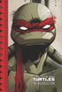 TEENAGE MUTANT NINJA TURTLES IDW COLLECTION TP VOL 01