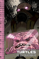 TEENAGE MUTANT NINJA TURTLES IDW COLLECTION TP VOL 10