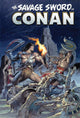 SAVAGE SWORD OF CONAN ORIGINAL COMICS OMNIBUS HC VOL 12 DIRECT MARKET EDITION VAR
