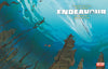ENDEAVOUR (2025) #2 CVR C 10 COPY INCV BENGAL VAR