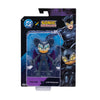 DC X SONIC 5IN ROUGE AS CATWOMAN AF