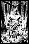 LOST FANTASY (2025) #1 CVR C INC 1:15 LUCA CASALANGUIDA B&W VAR