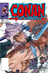 CONAN THE BARBARIAN THE ORIGINAL COMICS OMNIBUS HC VOL 06 DIRECT MARKET EDITION