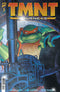TEENAGE MUTANT NINJA TURTLES JOURNEYS (2025) #3 CVR C 10 COPY INCV DOONEY & LAWSON FOIL VAR