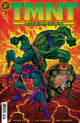 TEENAGE MUTANT NINJA TURTLES JOURNEYS (2025) #7 CVR C 10 COPY INCV DOONEY & LAWSON FOIL VAR