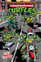 TMNT SATURDAY MORNING ADVENTURES CONTINUED (2023) #2 CVR D 10 COPY INCV LAWSON
