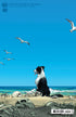 NICE HOUSE BY THE SEA (2024) #2 CVR C JOSHUA HIXSON CARD STOCK VAR