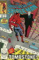 SPECTACULAR SPIDER-MAN (1976) #142