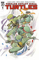 TEENAGE MUTANT NINJA TURTLES (2024) - SET OF FOUR - 1:100 COPY (VARIOUS ARTIST)