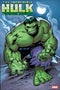 INCREDIBLE HULK (2023) #28 GREG LAND VAR