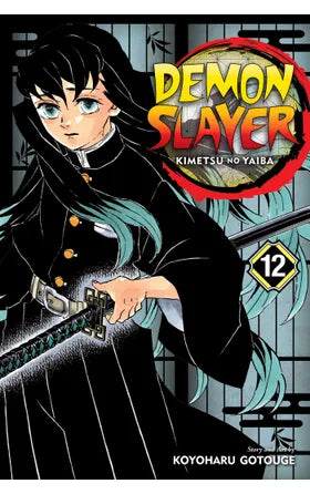 DEMON SLAYER KIMETSU NO YAIBA GN VOL 12