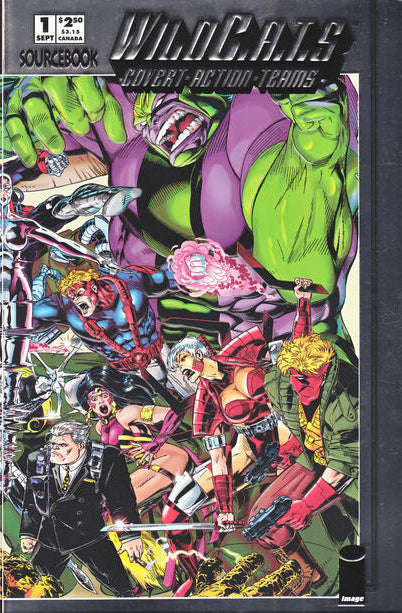 WILDCATS SOURCEBOOK (1993) #1