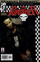 PUNISHER (2001) #12