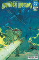 ABSOLUTE WONDER WOMAN (2024) #22 CVR A HAYDEN SHERMAN