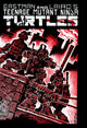 TEENAGE MUTANT NINJA TURTLES MIRAGE (1984) #1 FACSIMILE (2026) CVR A EASTMAN & LAIRD