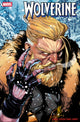 WOLVERINE (2024) #19 STEFANO CASELLI ULTIMATE FAREWELL VAR