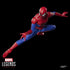 MARVEL LEGENDS SERIES THE AMAZING SPIDER-MAN AF