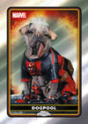 2025 TOPPS CHROME MARVEL DEADPOOL BLASTER BOX