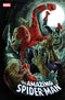 AMAZING SPIDER-MAN (2025) #13 LEE BERMEJO AMAZING VISIONS VAR