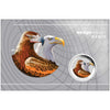 AUSTRALIAN WEDGE-TAILED EAGLE 2026 1oz SILVER COLOURED COIN IN CARD