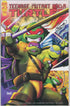 TEENAGE MUTANT NINJA TURTLES (2011) #150  SIGNED ADRIAN NICITA VARIANT