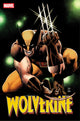 WOLVERINE (2024) #28 25 COPY INCV PAULO SIQUEIRA VAR