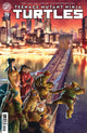TEENAGE MUTANT NINJA TURTLES (2024) #19 CVR F 25 COPY INCV PE VAR