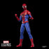 MARVEL LEGENDS SERIES THE AMAZING SPIDER-MAN AF