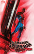 AMAZING SPIDER-MAN TORN (2025) #2 GABRIELE DELLOTTO VAR