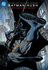 BATMAN HUSH 20TH ANNIVERSARY EDITION HC BATMAN DAY 2025 VARIANT DUST JACKET