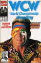 WORLD CHAMPIONSHIP WRESTLING (1992) #3 (VF)