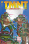 TEENAGE MUTANT NINJA TURTLES JOURNEYS (2025) #1 CVR C 10 COPY INCV LAIRD & DOONEY FOIL VAR