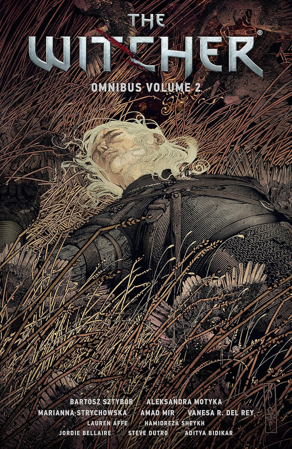 WITCHER OMNIBUS TP VOL 02