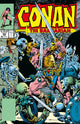 CONAN THE BARBARIAN THE ORIGINAL COMICS OMNIBUS VOL 08 REGULAR EDITION