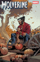 WOLVERINE (2024) #27 NETHO DIAZ FALL FANTASIES VAR