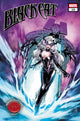 BLACK CAT (2025) #12 ZULEMA SCOTTO LAVINA KNULLBUSTER VAR