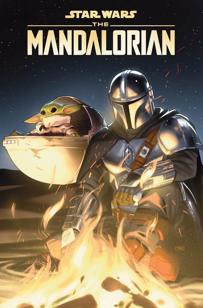 STAR WARS THE MANDALORIAN TP SEASON ONE & TWO