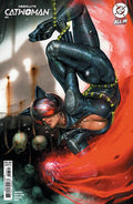 ABSOLUTE CATWOMAN (2026) #3 CVR B KYUYONG EOM CARD STOCK VAR