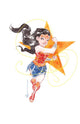 WONDER WOMAN (2023) #30 CVR C DUSTIN NGUYEN CARD STOCK VAR