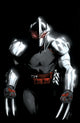 TEENAGE MUTANT NINJA TURTLES SHREDDER (2025) #3 CVR D 10 COPY INCV BANDINI VAR
