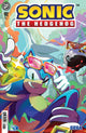 SONIC THE HEDGEHOG (2018) #91 CVR C RICHARDS