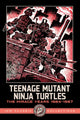 TEENAGE MUTANT NINJA TURTLES IDW CLASSIC COLLECTIONS TP VOL 01 THE MIRAGE YEARS