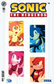 SONIC THE HEDGEHOG (2018) #91 CVR F 10 COPY INCV FOURDRAINE FOIL VAR