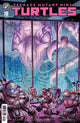 TEENAGE MUTANT NINJA TURTLES (2024) #18 CVR A WILLIAMS II