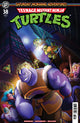 TMNT SATURDAY MORNING ADVENTURES CONTINUED (2023) #38 CVR C SIMONE