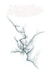 AMAZING SPIDER-MAN VOL 2 (1998) #617 SOMETHING IS COMING VAR