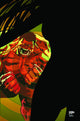HULK VOL 2 #31