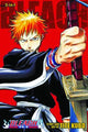 BLEACH 3-IN-1 ED TP VOL 01