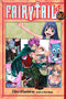 FAIRY TAIL GN VOL 20